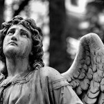 Explorations of Beauty and Decay