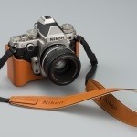 Df_SL_CFDC6_BROWN_ANSPL001_Brown